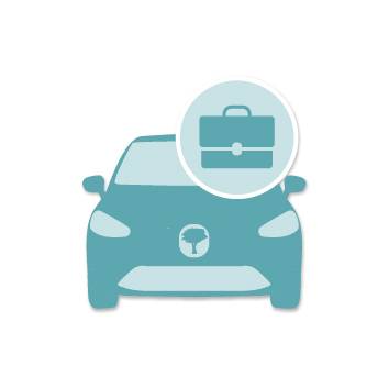 ASSURANCE AUTO PROFESSIONNEL