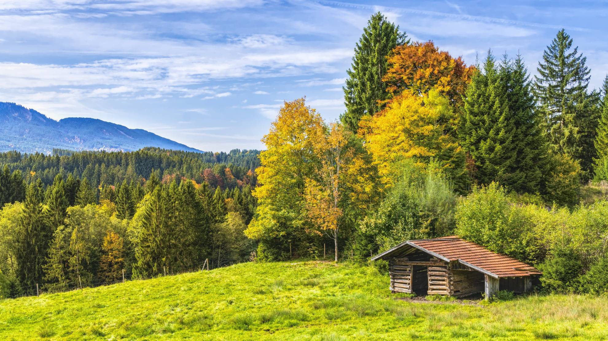 cabane en bois