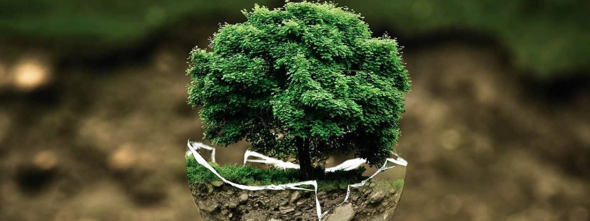 préserver environnement