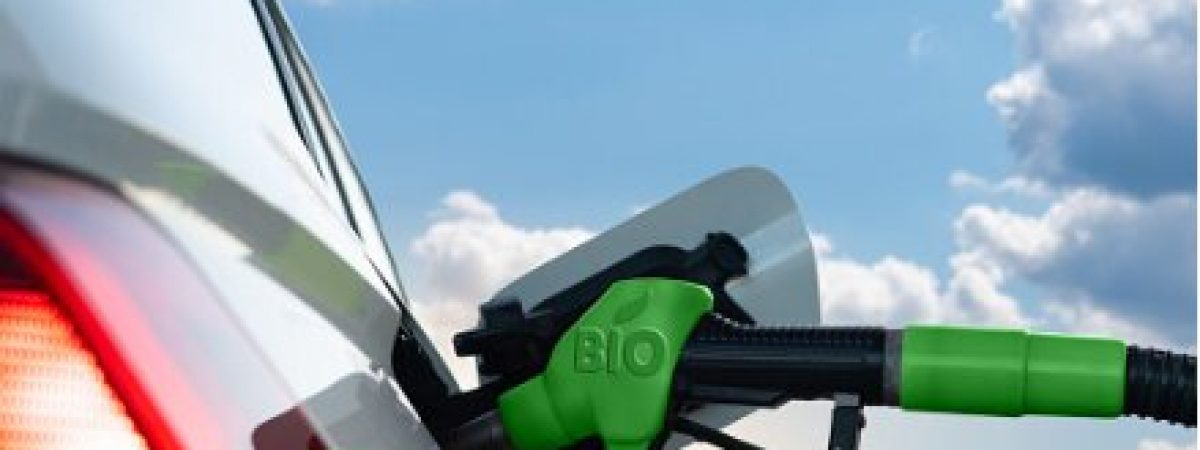 bioethanol